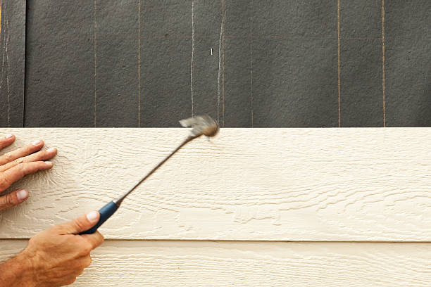 Best Stone Veneer Siding  in Wellton, AZ